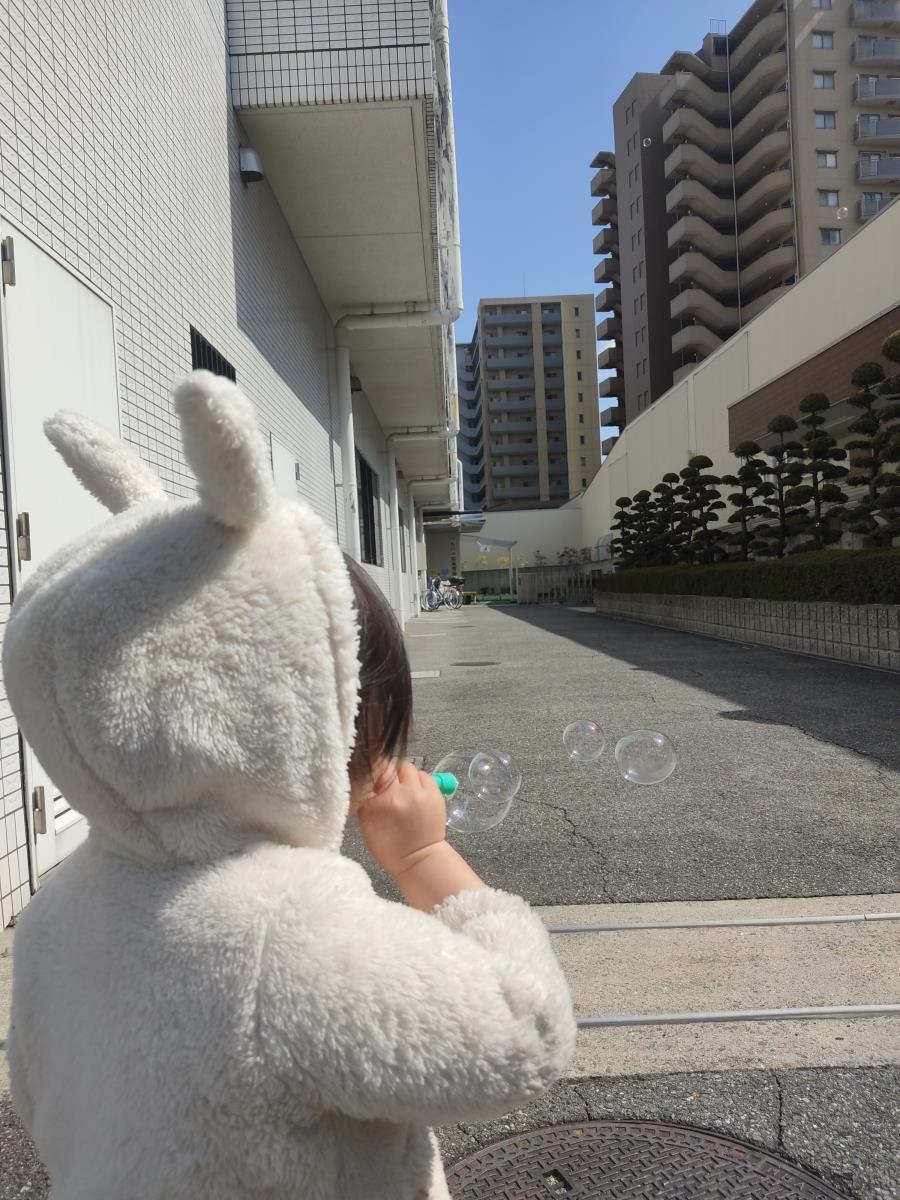 スライド画像